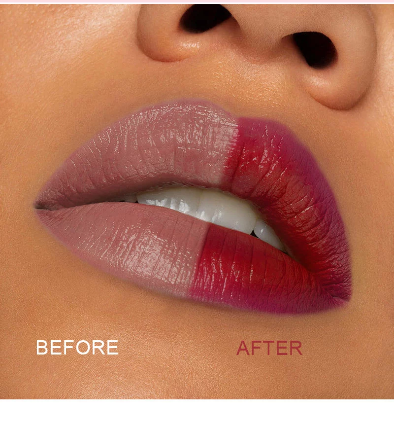 Makeup lipstick palette supplier