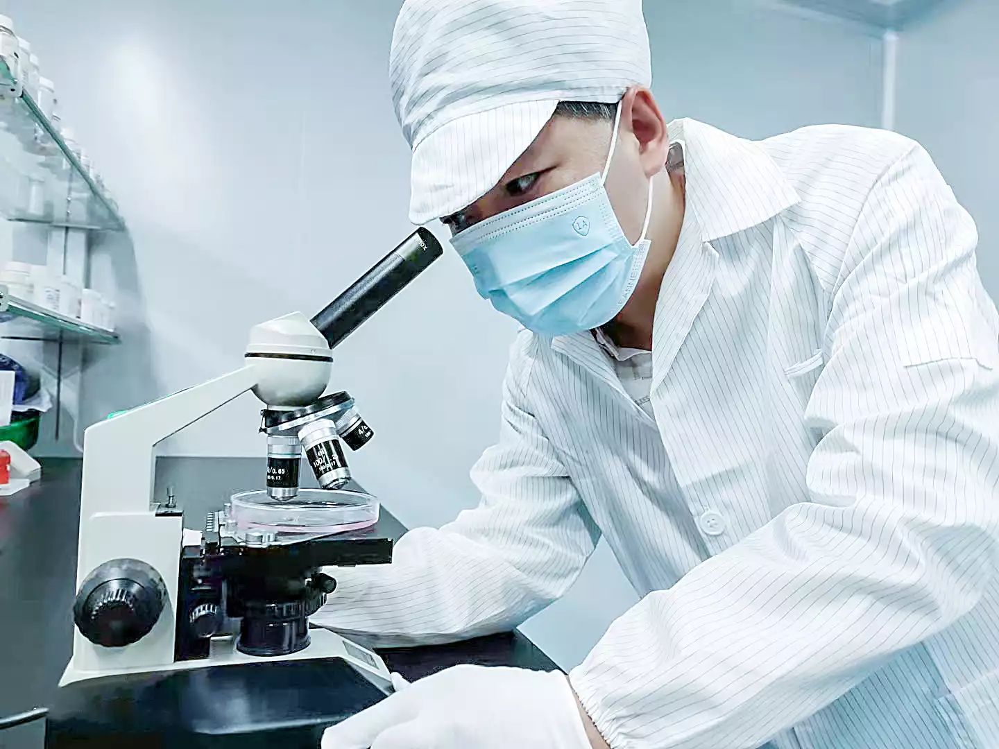 Matte Liquid Lipstick  Manufacturer